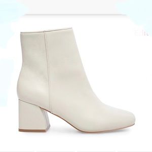 Steve Madden off white Davist booties
